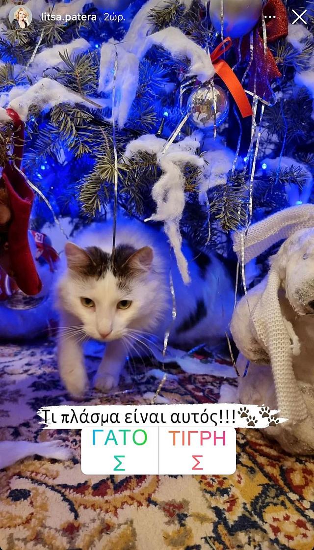 Ο γάτος της Λίτσας Πατέρα