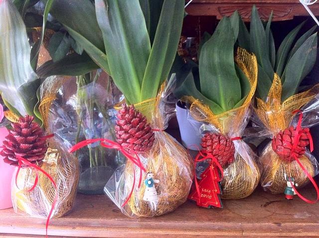 ασκελετουρα