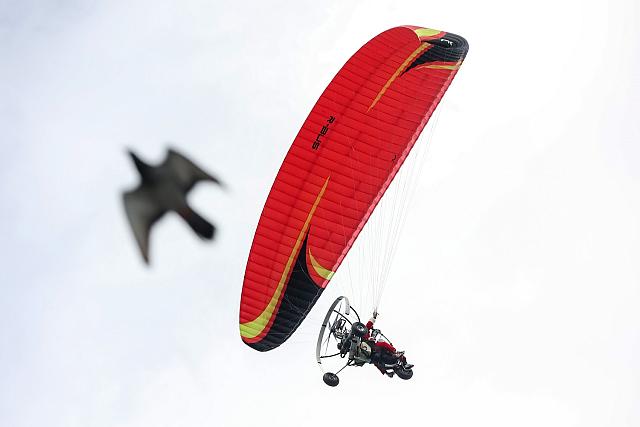 Αη Βασίληδες - Ηράκλειο