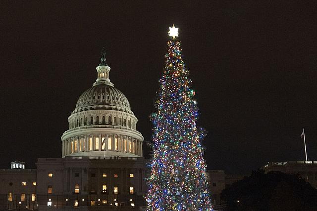 Το χριστουγεννιάτικο δέντρο στο αμερικανικό Καπιτώλιο, Ουάσινγκτον. ΗΠΑ