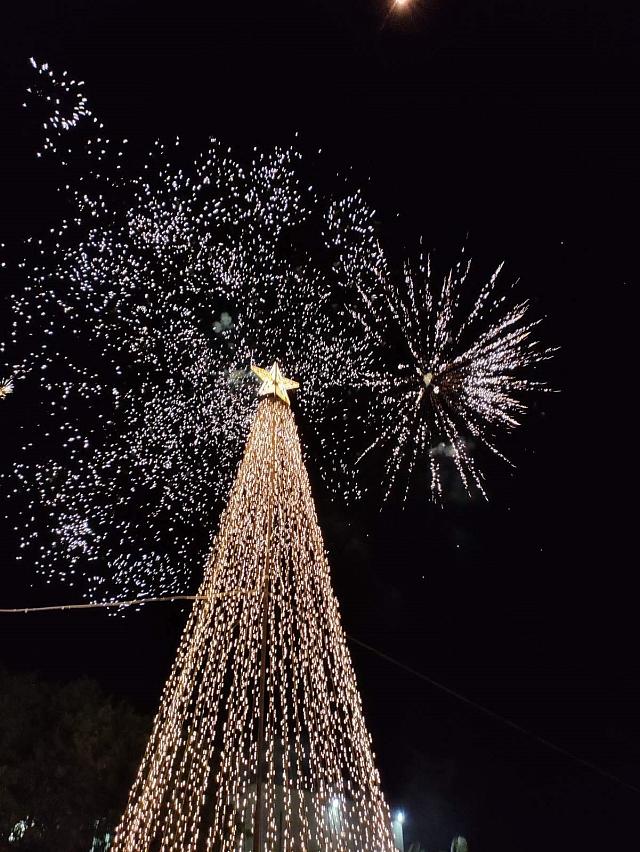 Φωταγώγηση Δέντρου