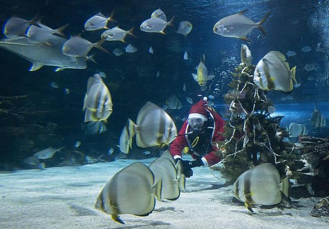 Βουδαπέστη, Ουγγαρία