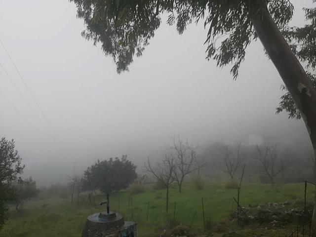 ΖΩΝΙΑΝΑ ΚΑΚΟΚΑΙΡΙΑ