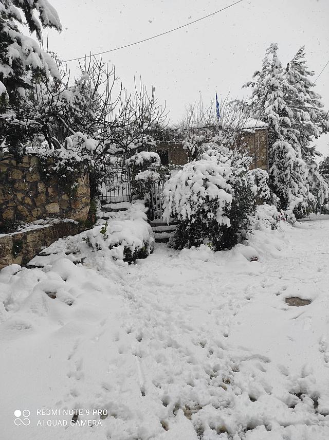 Στα λευκά οι Αρχάνες - Κώστας Κλάδος