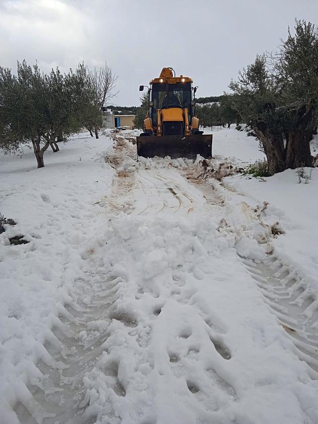 χιόνια ασίτες