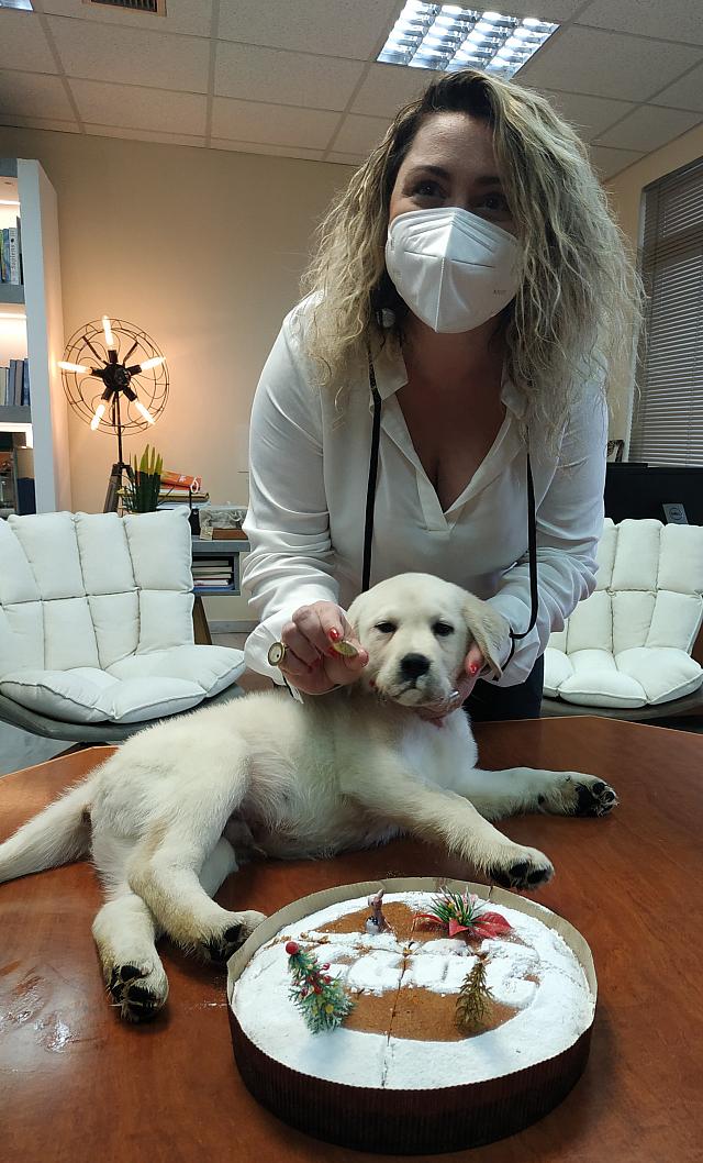 Ο Ερνέστο, κατά την κοπή της Πρωτοχρονιάτικης πίτας στην 7η ΥΠΕ Κρήτης.