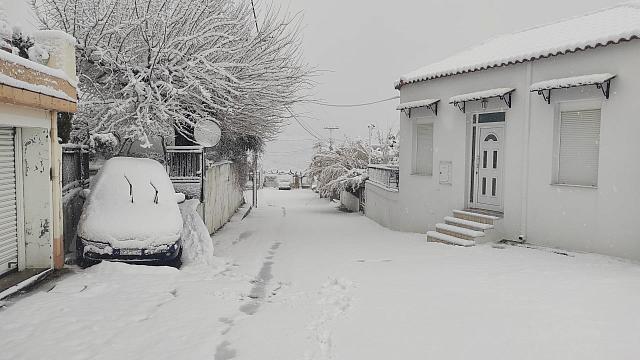 Χιόνια στις Κουρούτες - Σπύρος Καλλέργης