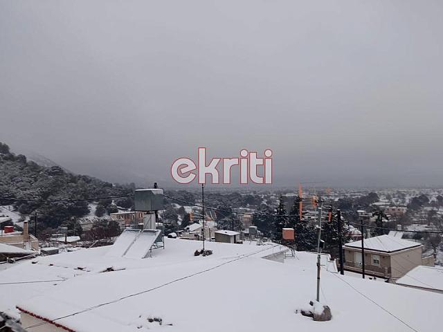 Οροπέδιο Λασιθίου - Χιόνια