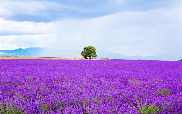 Γόρδη, Προβηγκία, Γαλλία