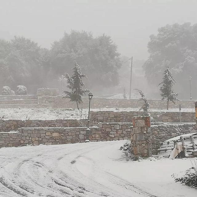 Σελάκανο - Ελευθερία Φακιολάκη