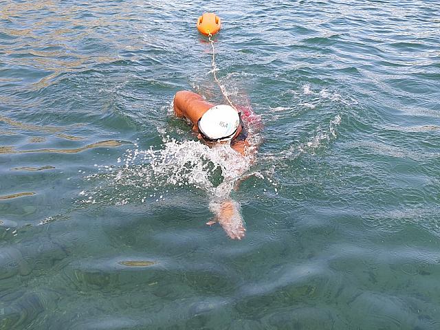 χάρης θεοδόσης