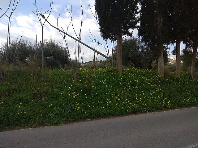 έπεσε πυλώνας φωτισμού μέσα σε χωράφι 