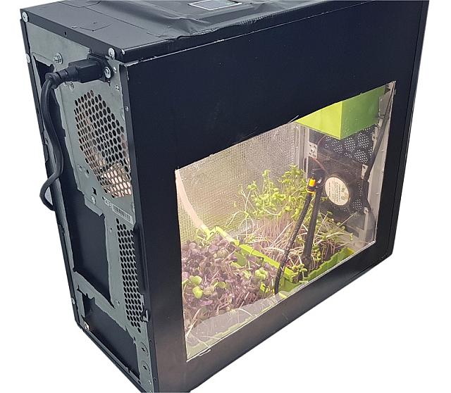 μικρολαχανικά