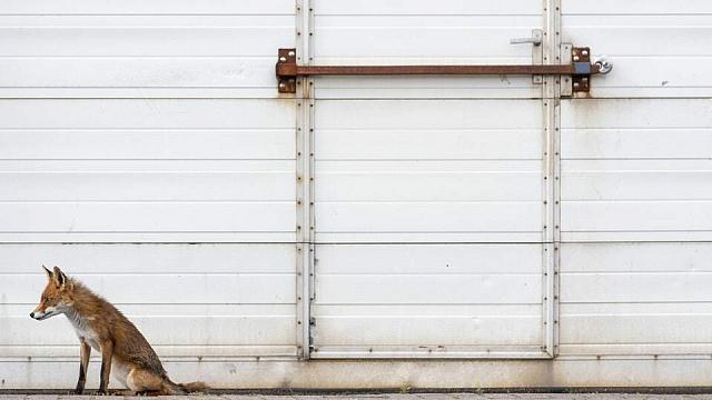 η φύση καθηλώνει μέσα από 10 φωτογραφίες 