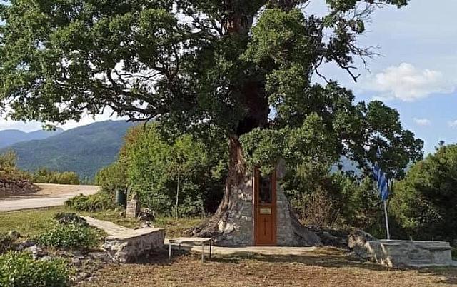 δεντροκκλησιά αγίου Παισίου