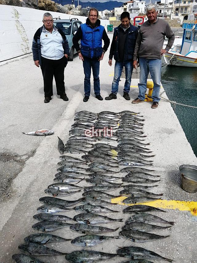 λαγοκέφαλοι ιεράπετρα