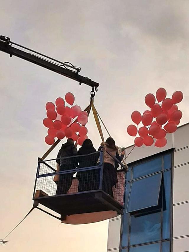 μωρό γερανός