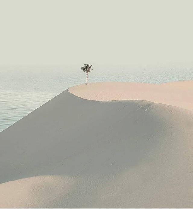 Karim Arm - ερημος