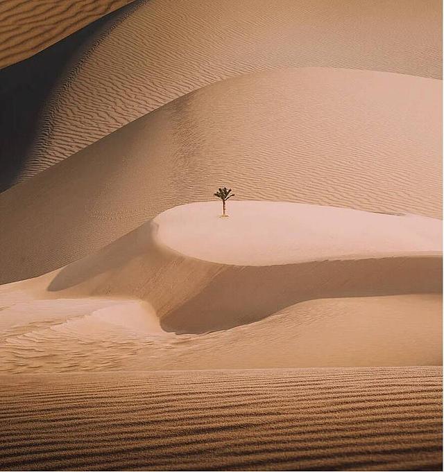 Karim Arm - ερημος