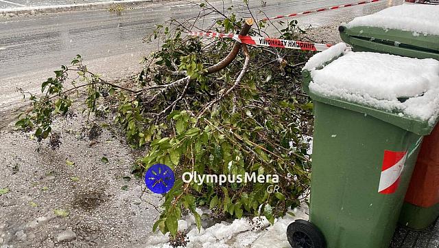 κατερινη χιονια