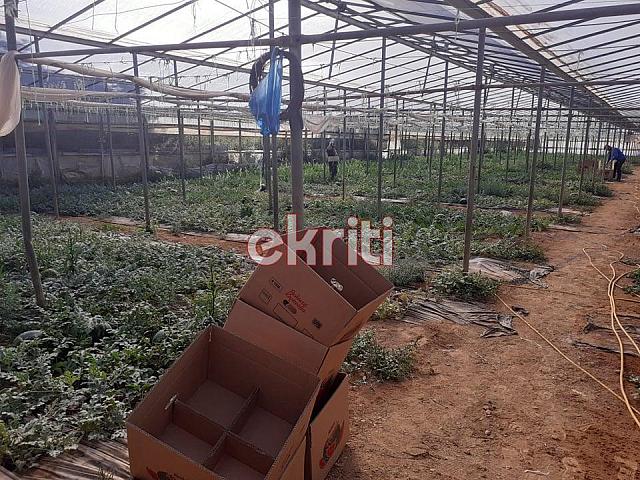 καρπούζια τυμπάκι