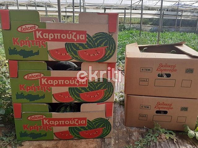 καρπούζια τυμπάκι