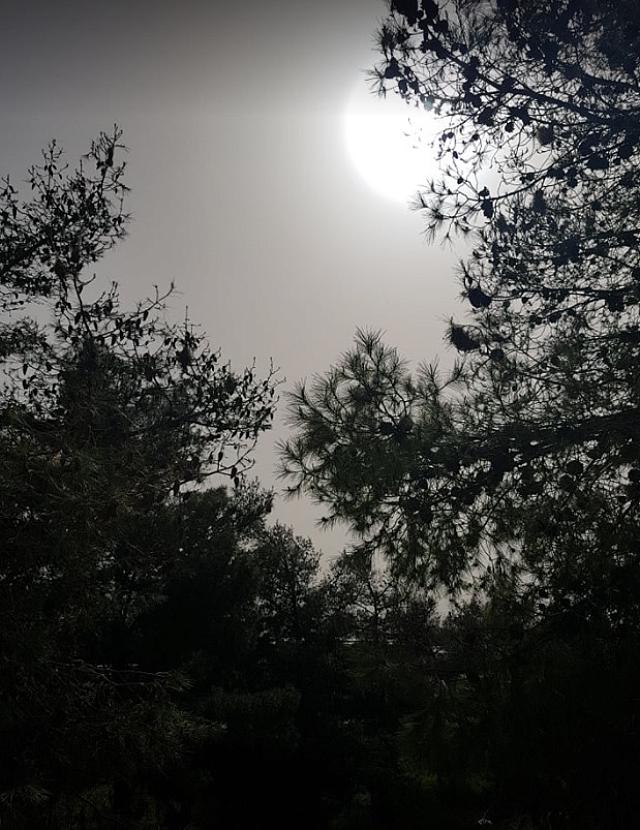 αφρικανικη σκονη