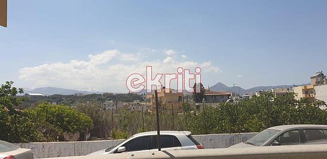 Ζούγκλα από καλάμια και ξερά χόρτα