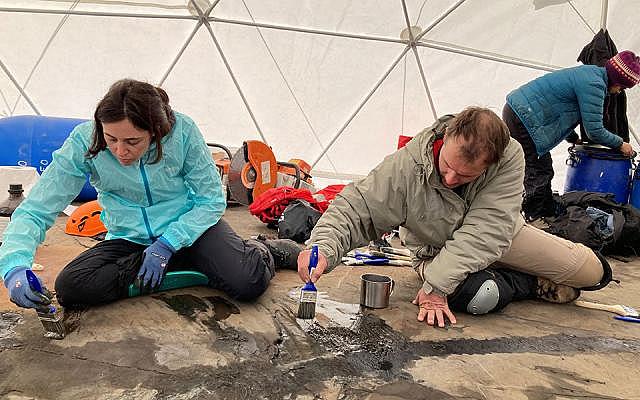 ερευνητές - ιχθυόσαυρος