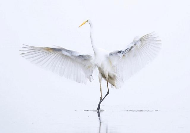 Σπάνιες εικόνες της ελληνικής φύσης