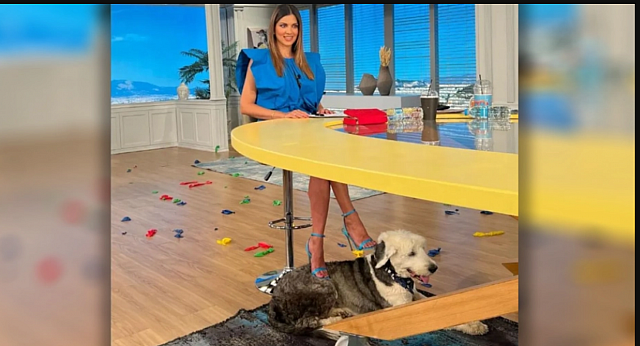 Σταματίνα με σκύλο