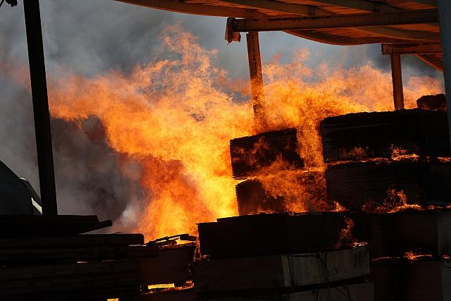 φωτιά φοινικιά