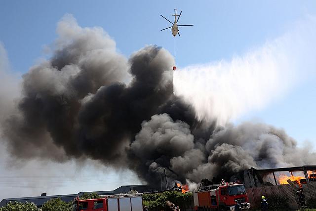 φωτιά φοινικιά