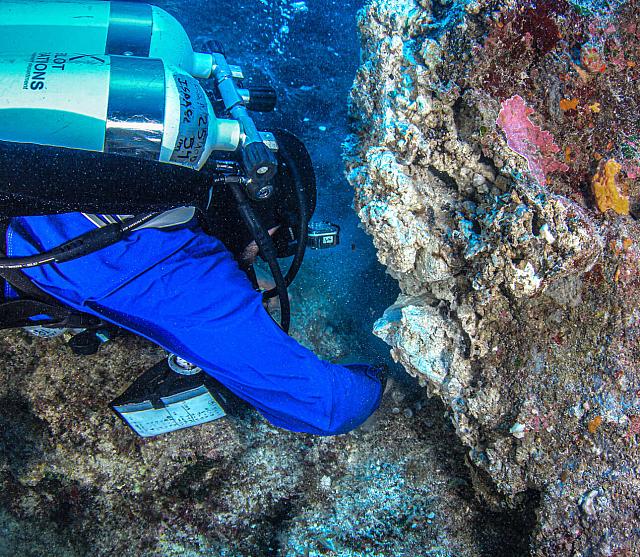 αντικυθηρα