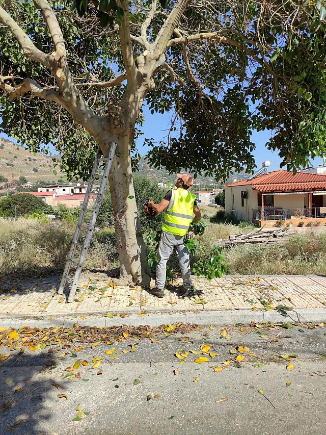 ληνοπεραματα