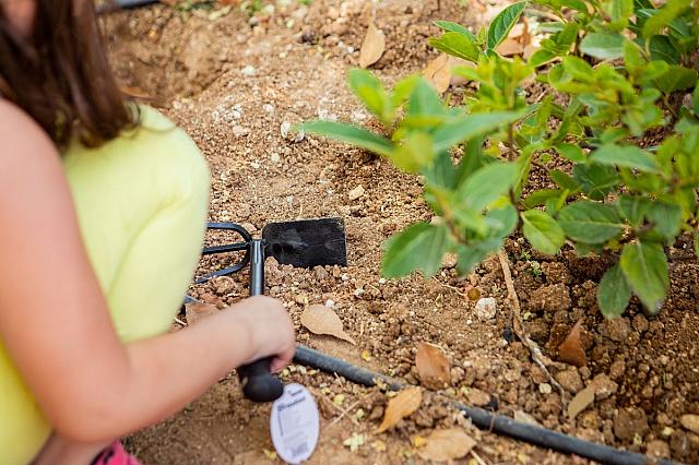 χαλκιαδάκης περιβάλλον