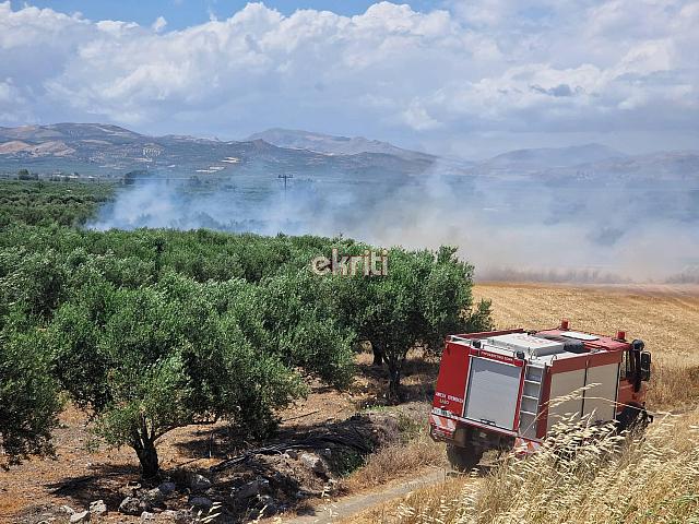 Φωτιά στο Ροτάσι