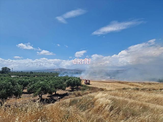 Φωτιά στο Ροτάσι