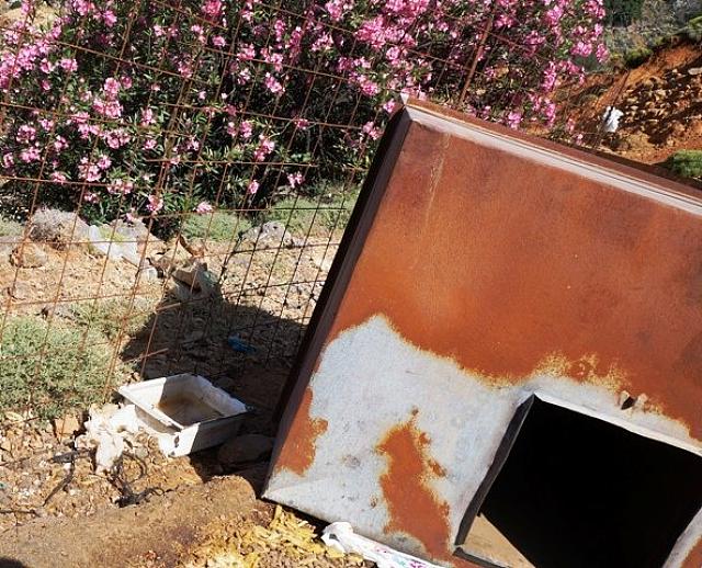 σκυλακος - ντεποζιτο