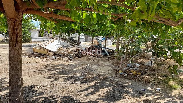 αυθαίρετα καρτερός