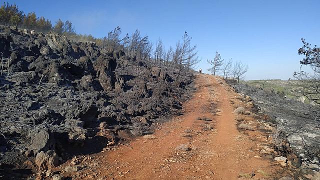 Μεγάλη μάχη των πυροσβεστών στην Κέρη για να ελέγξουν τη φωτιά