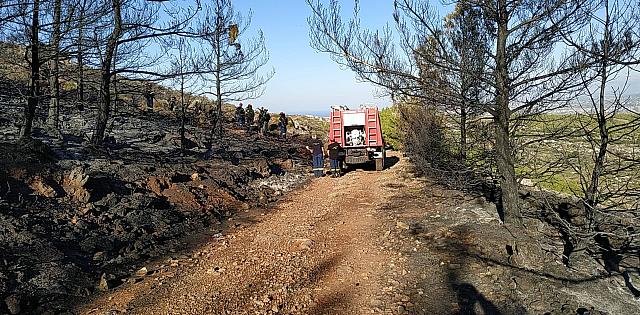 Μεγάλη μάχη των πυροσβεστών στην Κέρη για να ελέγξουν τη φωτιά
