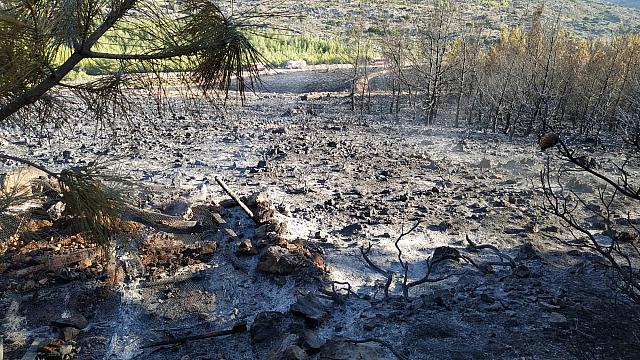 Μεγάλη μάχη των πυροσβεστών στην Κέρη για να ελέγξουν τη φωτιά