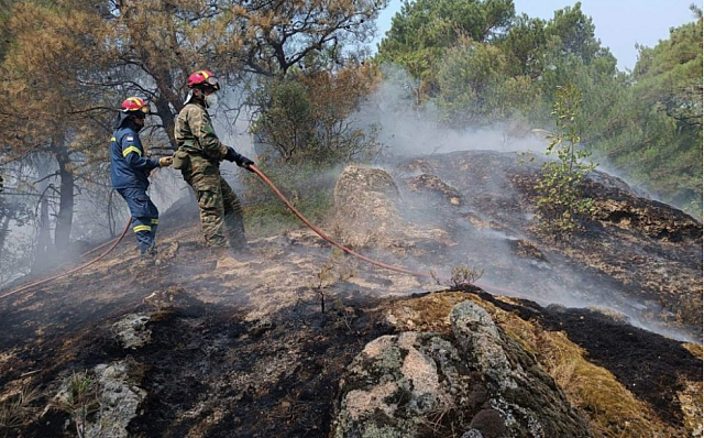 φωτιά δαδιά