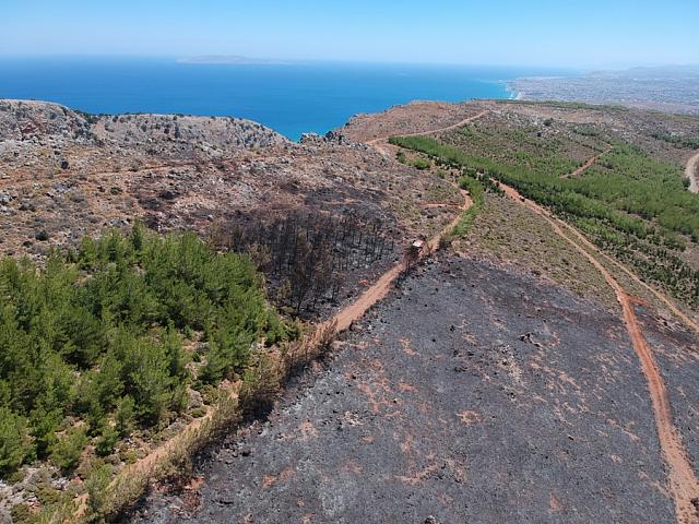 Η καμένη έκταση στο δάσος της Κέρης ...από ψηλά