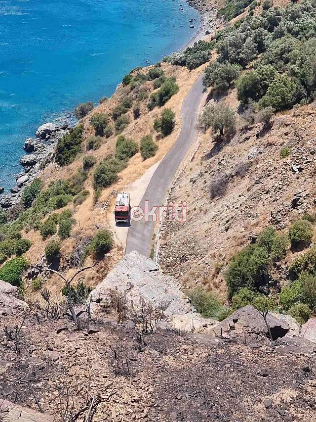 φωτιά ροδάκινο