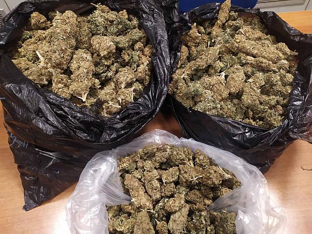 κάνναβη αγία πελαγία