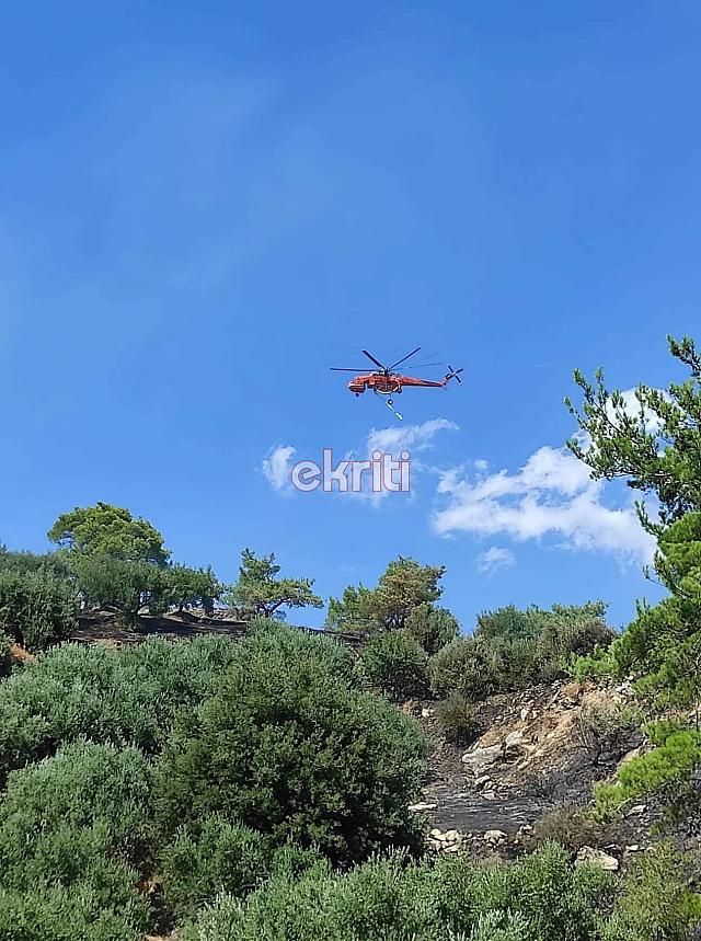 μεγάλη φωτιά στη Βιάννο