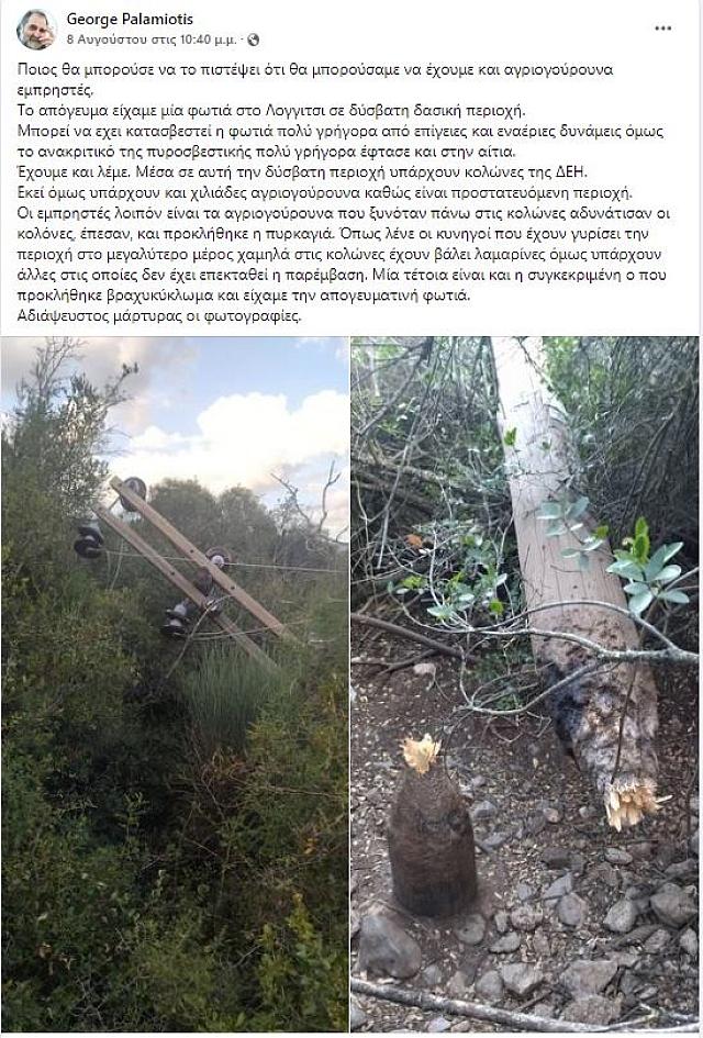 ΑΓΡΙΟΓΟΥΡΟΥΝΑ ΣΤΥΛΟΣ ΔΕΗ