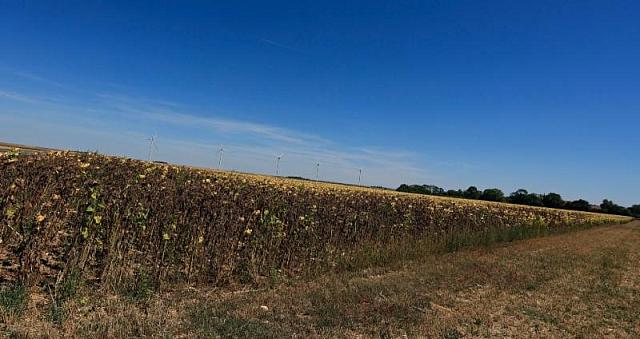 ΗΛΙΟΤΡΟΠΙΑ